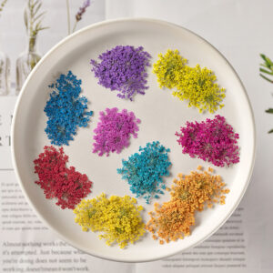 Flores Secas 35 Hojas Para Arte Resina UV Epoxi - Image 12
