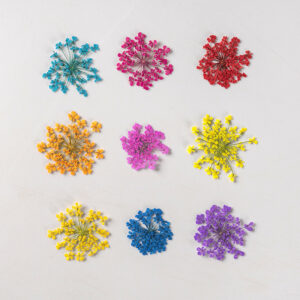 Flores Secas 35 Hojas Para Arte Resina UV Epoxi - Image 13