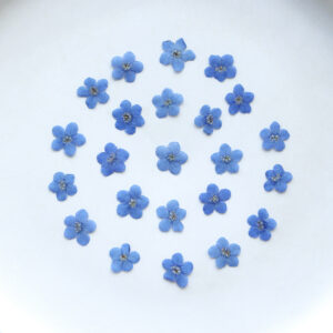 Flores Secas 35 Hojas Para Arte Resina UV Epoxi - Image 11