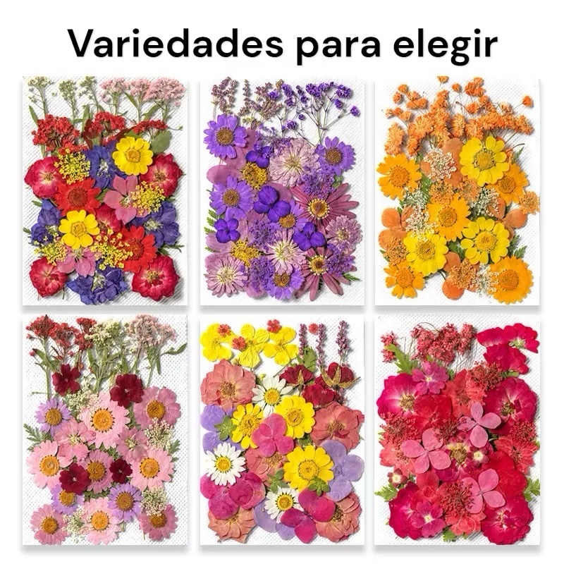 photoroom_20260209_124635